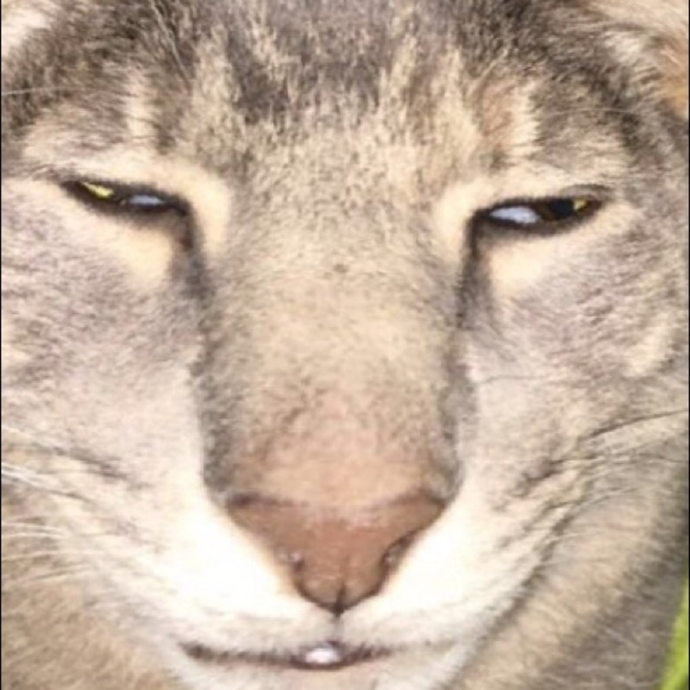 Meet your Posher, Victoria